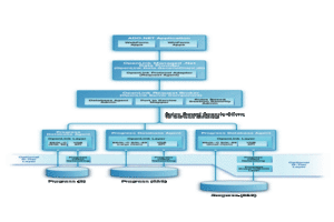 Type A Architectural Diagram for Progress ADO.NET