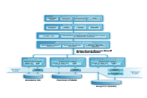 Type A Architectural Diagram for Progress with ODBC