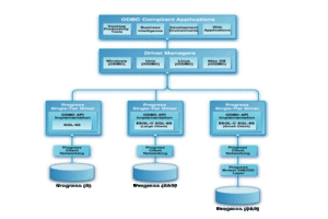 Type A Architectural Diagram for Progress ODBC
