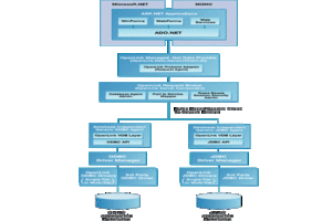 Type C Architectural Diagram for ADO.NET
