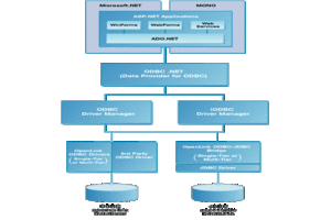 Type C Architectural Diagram for ADO.NET
