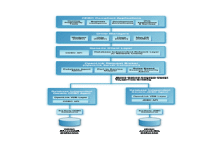 Type C Architectural Diagram for ODBC
