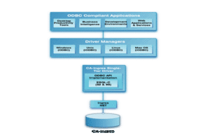 Oracle Single-Tier Architecture Diagram