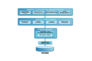 Oracle Single-Tier Architecture Diagram